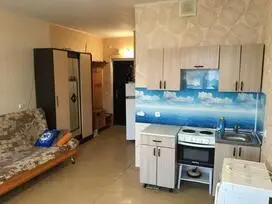 Studija, 24 m², Indvidualus išplanavimas