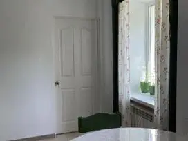 3 kambarių, 53 m², Namas mūrinis - renovuotas - 6