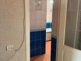 Parduodamas 1 kambario butas - 3