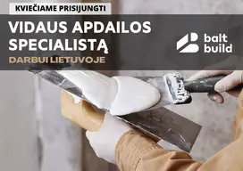 Vidaus apdailos spesialistas (Lietuvoje)