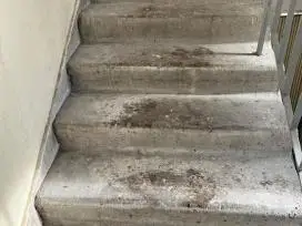 Atliekame Palepių,pramoninių ,techninių patalpų valymą.