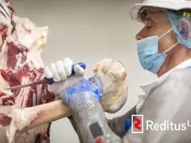 Nukaulintojas (mėsininkas) – darbas Norvegijoje (1854)