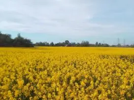 Sodyba ramioje vietoje