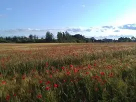 Sodyba ramioje vietoje