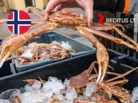 Produkcijos darbuotojai (krabai) – darbas Norvegijoje (2013)